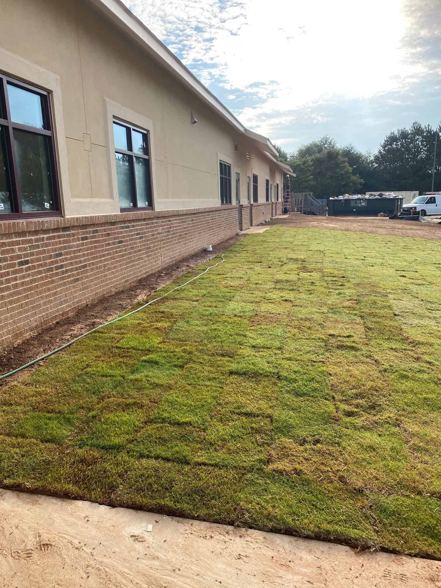 AH new grass front of the bldg 060320